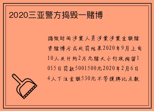 2020三亚警方捣毁一赌博